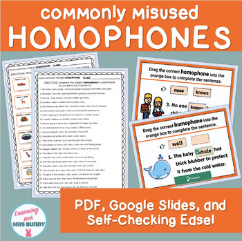 Preview of HOMOPHONES No Prep Print & Digital Practice Activities