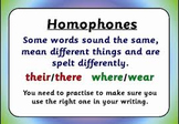 HOMOPHONES Quiz 3