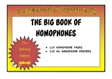 HOMOPHONES - THE BIG BOOK OF HOMOPHONES - 110 sets - A4 Posters