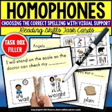 HOMOPHONES | Task Cards Visual Support Task Box Filler for