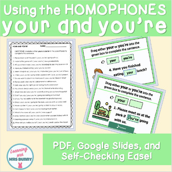 Preview of HOMOPHONES (your and you're) Print & Digital Practice