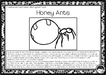 Download HONEY ANTS (Trad Australian Aboriginal food) 1 pg info & coloring sheet