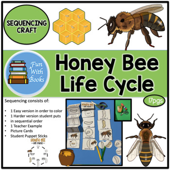 Preview of HONEY BEE LIFE CYCLE SEQUENCING CRAFT