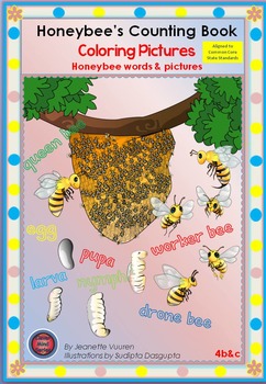 Preview of HONEY BEE FACTS: COLORING PICTURES: HONEY BEE WORDS & PICTURES-4b&c