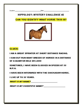 Preview of HORSES: CAN YOU IDENTIFY THIS MYSTERY HORSE? ACTIVITY #2 W/ ANS. KEY