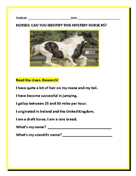 Preview of HORSES: CAN YOU IDENTIFY THIS MYSTERY HORSE #5? W/ ANS. KEY