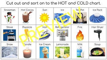 Preview of HOT vs COLD - sorting activity for Special Education