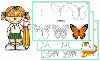 Preview of HOW TO DRAW 40 INSECTS IN 6 EASY STEPS (PDF)