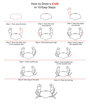 How To Draw A Fish - Step By Step Instructions - Busy Little Kiddies