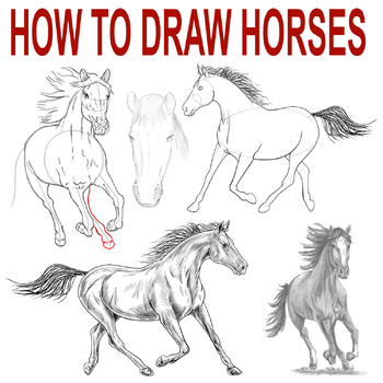 Preview of HOW TO DRAW HORSES