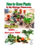 HOW TO GROW PLANTS In My Biology Classroom  STEM PREMIUM P