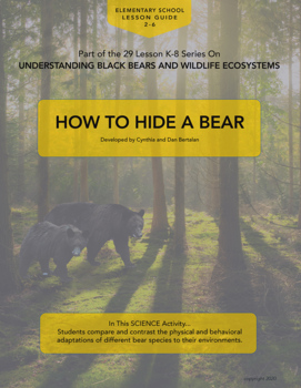 Preview of HOW TO HIDE A BEAR - Multi-Media Bundle