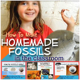 HOW TO Make Homemade Fossils in the Classroom