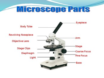 microscope revolving nosepiece