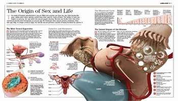 Preview of HQ Human Body 2- The Journey of Life: From Conception to Birth