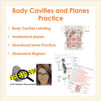 Preview of HS Anatomy and Physiology - Body Cavities and Planes Practice