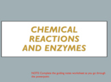 HS-LS1-6: Chemical reactions and Enzymes Interactive PPT a