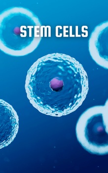 Preview of HS-Level Introduction to Stem Cell Science