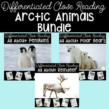 Preview of Arctic Animals Differentiated Close Reading BUNDLE