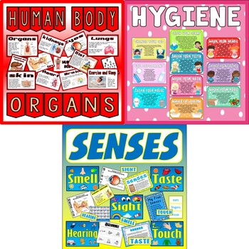 Human Body Biology Organs Senses Hygiene By Reach Out Resources