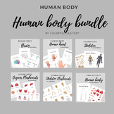 HUMAN BODY BUNDLE - by colorfullllstudy