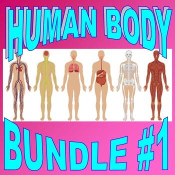 Preview of HUMAN BODY Bundle Set #1 (17+ Worksheet, Projects, Activity, Quiz and More!)