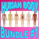 HUMAN BODY Bundle Set #1 (17+ Worksheet, Projects, Activit