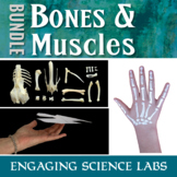 HUMAN BODY SYSTEMS Bones and Muscles and Nerves 25 Activities