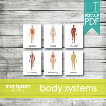 Preview of HUMAN BODY SYSTEMS • Montessori Cards • Flash Cards • Three Part Cards