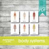 HUMAN BODY SYSTEMS • Montessori Cards • Flash Cards • Thre