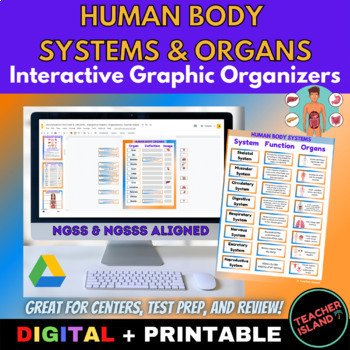 Preview of HUMAN BODY SYSTEMS & ORGANS Interactive Graphic Organizers | Digital & Printable