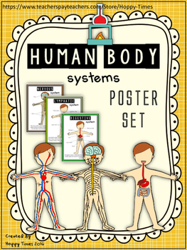 Preview of HUMAN BODY SYSTEMS POSTERS digestive nervous skeleton