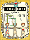 HUMAN BODY SYSTEMS POSTERS digestive nervous skeleton