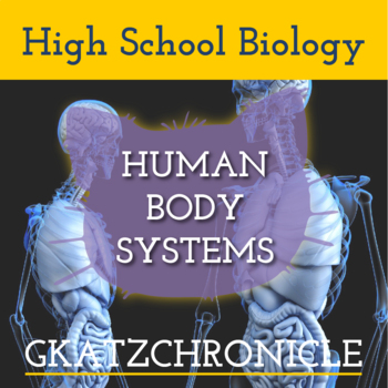 Preview of HUMAN BODY SYSTEMS TEACHER PRESENTATION & MATCHING STUDENT NOTES