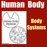 HUMAN BODY SYSTEMS | Worksheet Activity 1st 2nd 3rd 4th 5t