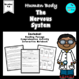 HUMAN BODY: THE NERVOUS SYSTEM