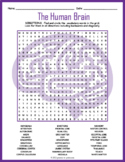 HUMAN BRAIN ANATOMY Word Search Worksheet Activity - 5th, 