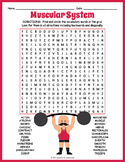 HUMAN MUSCULAR SYSTEM Word Search Worksheet Activity - 4th