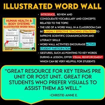 ontario science grade 5 human organ systems illustrated word wall