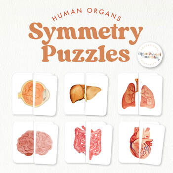 Preview of HUMAN ORGANS Symmetry Puzzles | Montessori Inspired Matching Activity