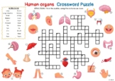 HUMAN ORGANS THEME Crossword Puzzle