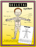 HUMAN SKELETAL SYSTEM DIAGRAM Poster and Labelling Activit