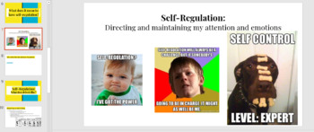 Preview of Habits of Success: Self-Regulation