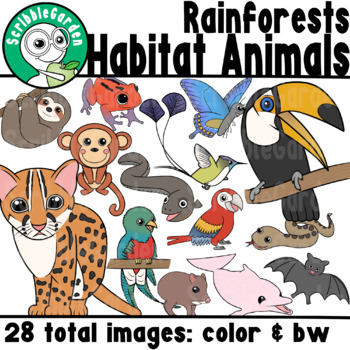 Preview of Habitat Animals: Rainforests of South America ClipArt