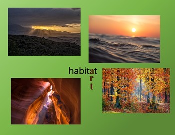 Preview of Habitat Art