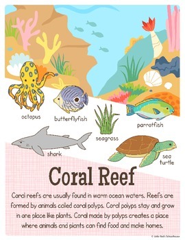 habitat posters by littlered teachers pay teachers