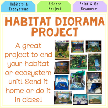 Preview of Habitat Diorama Project