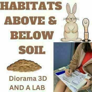 Preview of Habitat Dioramas 3D model and lab-soil above and below Middle School Science