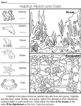 habitat match worksheets by teaching touchdowns tpt