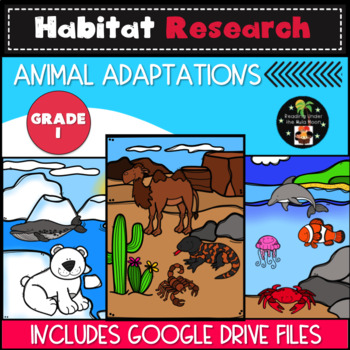 Habitat Research: Animal Adaptations First Grade - Digital Version